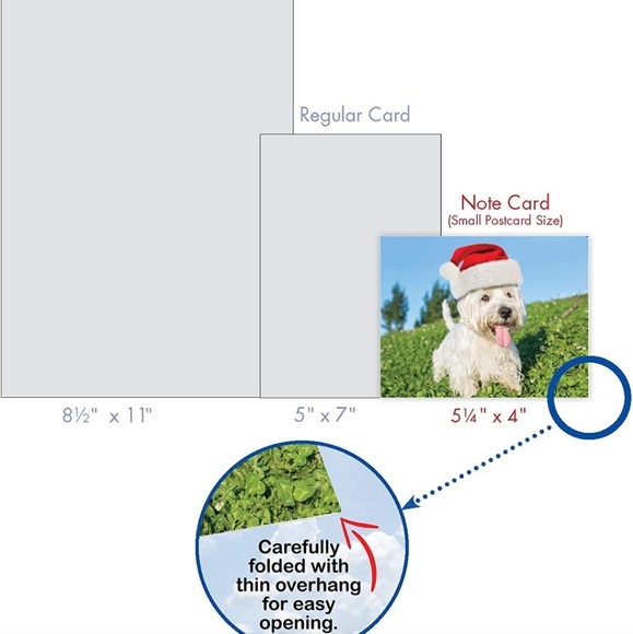 New Christmas Westie note cards - Picture 4 of 4